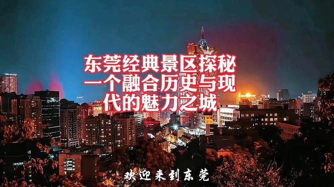 日本老少XXX的传承与创新，探索现代魅力，感受传统韵味