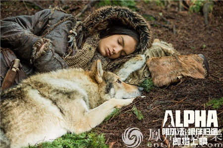 神秘女人与公狼野外相遇引发热议,罕见互动视频曝光,揭秘人狼共生真相 神秘女人与公狼野外相遇引发热议,罕见互动视频曝光,揭秘人狼共生真相