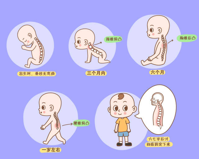 亚洲孕妇的孕期营养指南，健康饮食建议，胎儿发育关键期注意事项