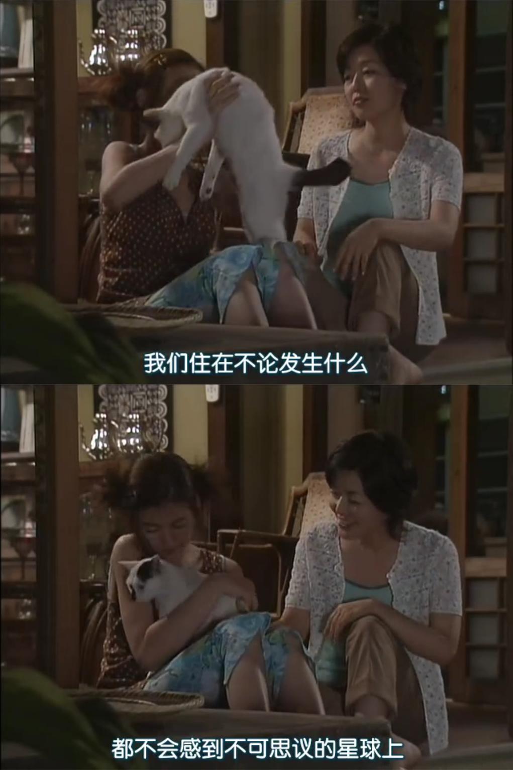 暴躁少女免费观看电视剧西瓜视频热播剧集，精彩剧情，独家资源等你来