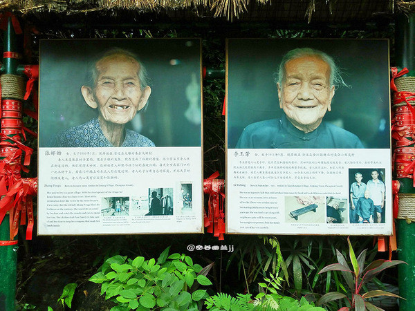 九九久久久久久久久久久久传承千年文化，探索长寿奥秘，揭秘九久传说的健康智慧