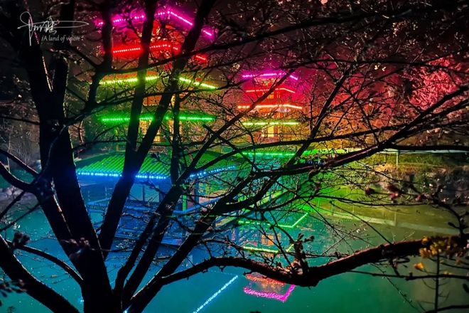 午夜婷婷丁香绽放暗香浮动，夜色温柔花香四溢，沉醉在这静谧芬芳时刻