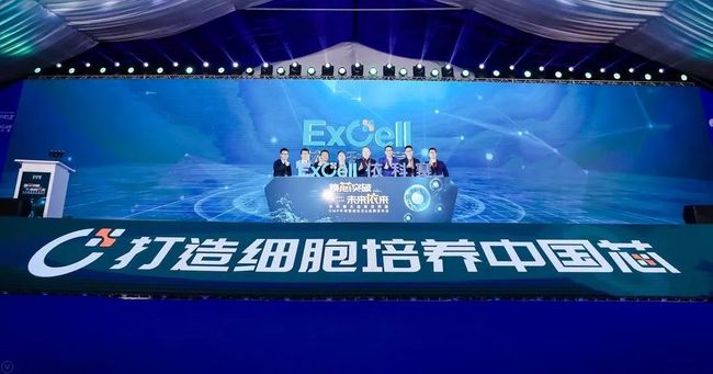 《jyzzxxx创新突破引领未来潮流》