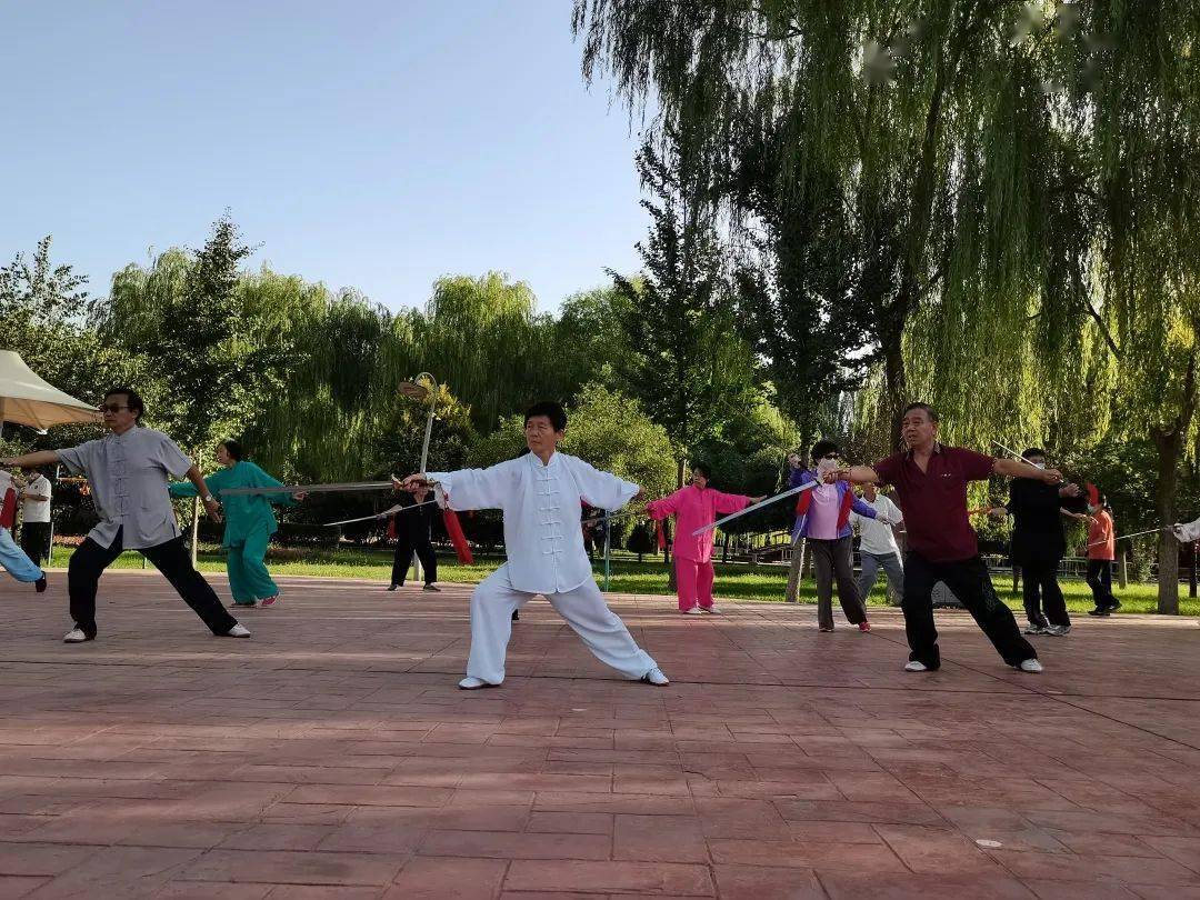 成人瑜伽AAA片免费看轻松入门，快速掌握基础动作，享受健康生活乐趣