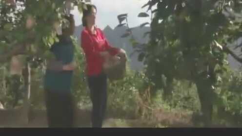 农村寡妇精品一区二区三区推荐，最新热门资源合集，高清热门影片免费观看，精彩剧情不容错过