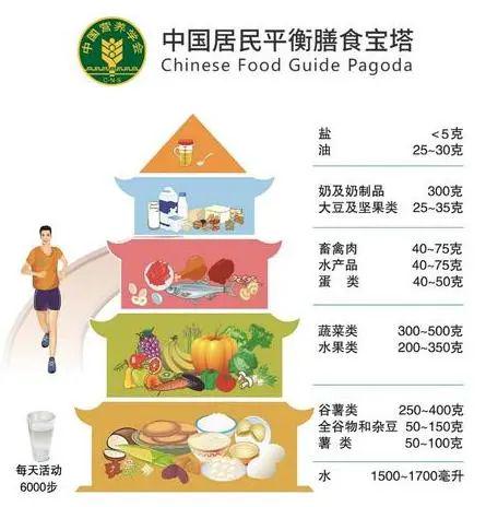 中国肥胖太太浜健康危机，减重挑战迫在眉睫，家庭饮食需警惕