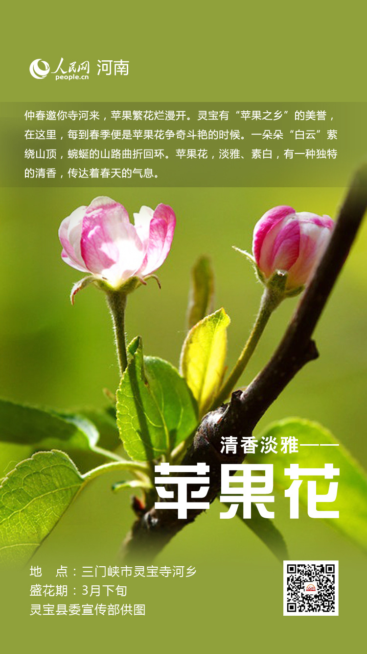 激情亚洲春色绽放,唯美风情,动人瞬间,探索东方魅力 激情亚洲春色绽放,唯美风情,动人瞬间,探索东方魅力