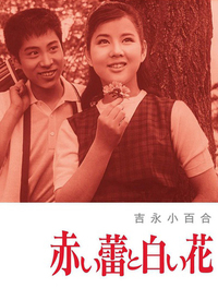 3.最新电影浜免费在线观看，呱呱呱高清流畅，无广告畅享