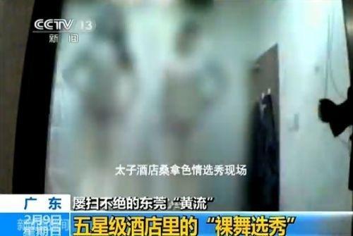 1.成人一区毛片最新资源免费在线观看
