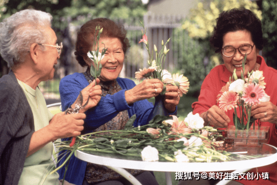 东北老太一区二区生活趣事，邻里温情，岁月静好回忆录