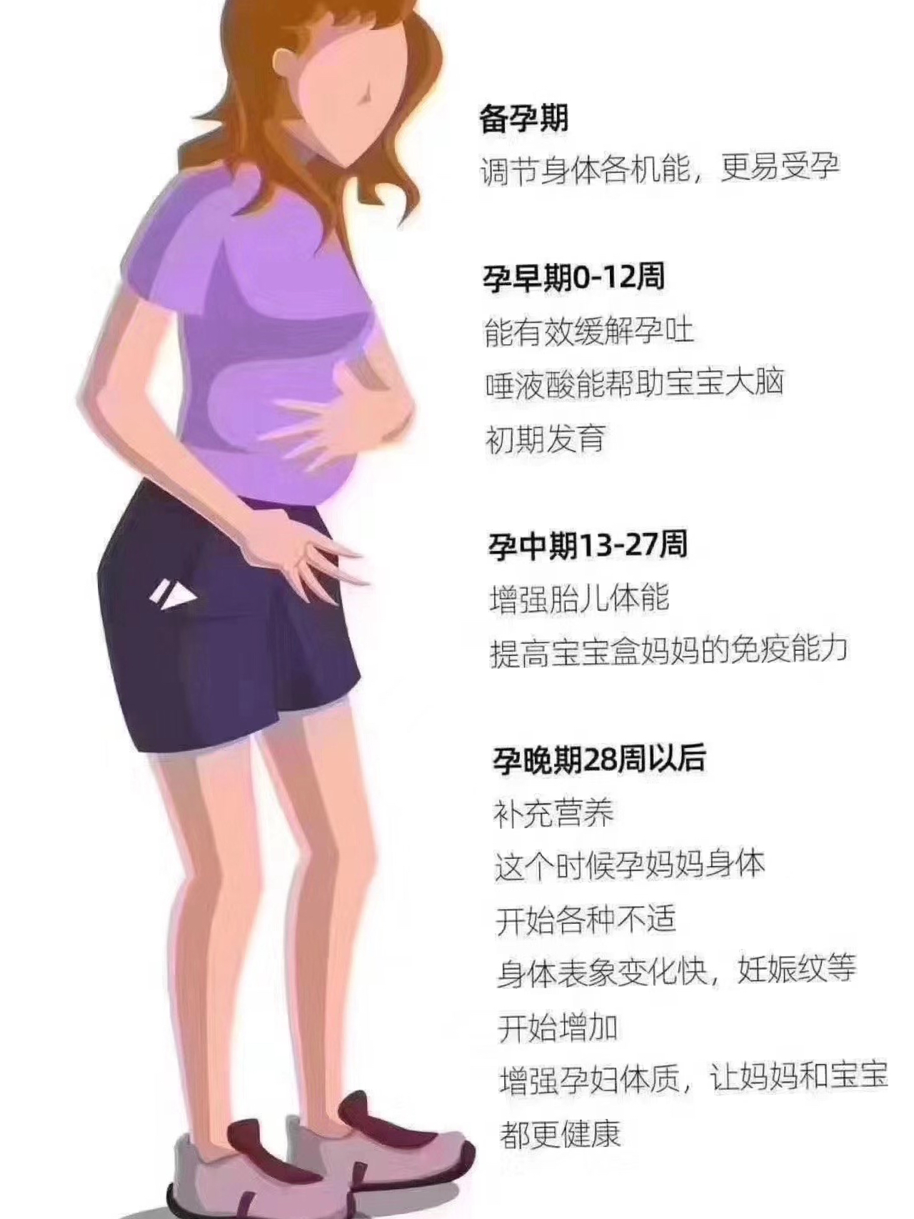 1.孕妇av网站孕期健康与安全指南