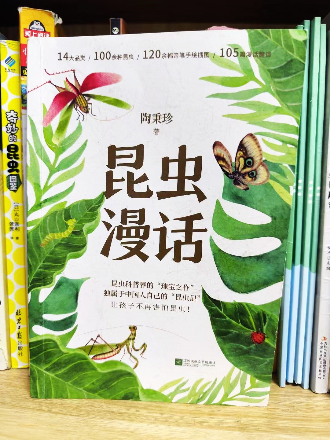 久久成人专区精彩内容推荐，探索成人世界奥秘，享受私密时光