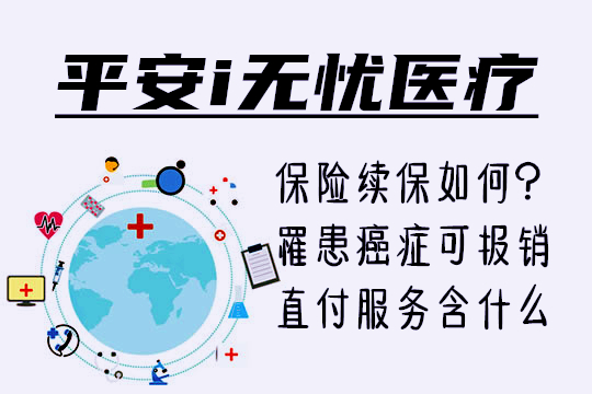 婷婷老司机带你玩转驾驶技巧，轻松上路，安全无忧