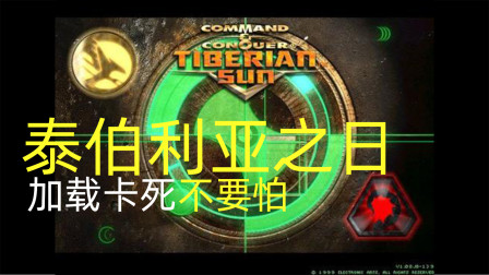 午夜三级在线不卡视频流畅观看高清无码深夜影院独家放送