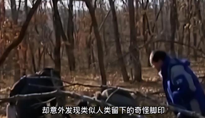 暴躁老牛的少女第三季浜岸惊魂夜，神秘黑影现，谜团重重待解