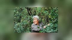 2.老太婆BBBBBB视频，独家爆料，震撼真相，不容错过