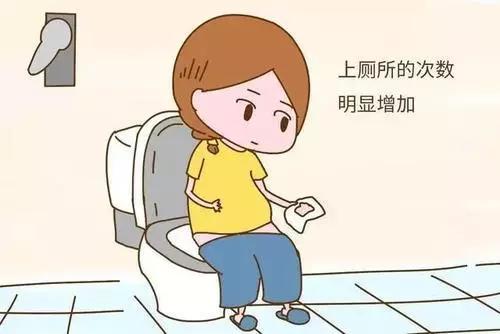 孕妇孕交毛片真实记录，孕期生活揭秘，准妈妈必看指南