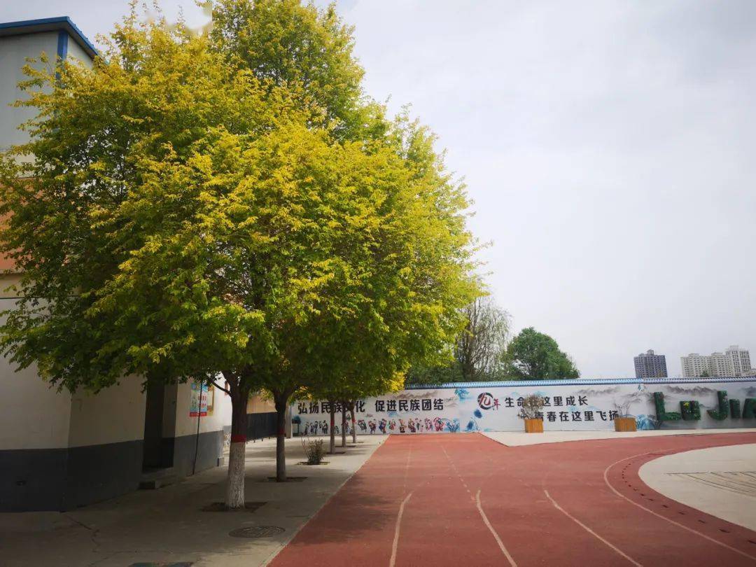 学生一级毛片浜青春成长故事探索真实自我勇敢追梦