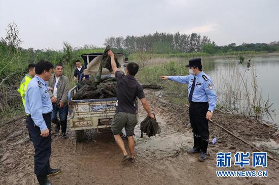 女卖婬一级A片浜引发热议，警方严厉打击违法行为，网络平台加强内容监管