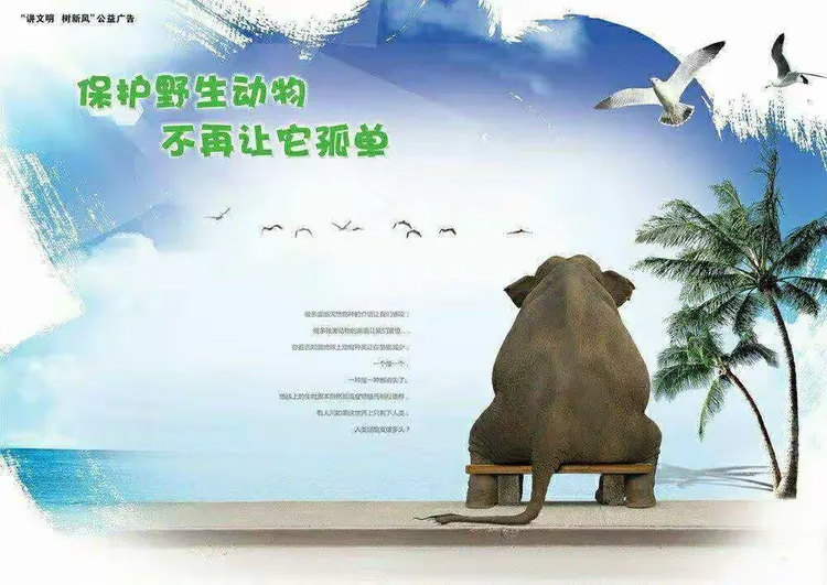 动物操人妻引发热议，探讨伦理边界，关注动物保护与人性反思