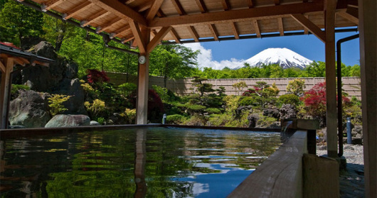 日本高潮樱花季绝美绽放，富士山脚下温泉体验，东京夜景浪漫巡礼