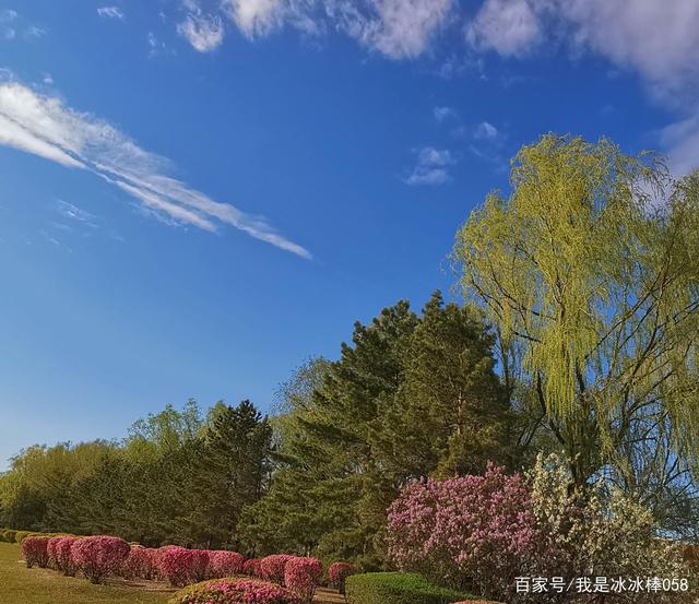 1.色天情五月风光无限好