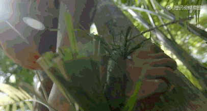 青青草一级a片展现自然之美，探索清新世界，感受生命活力