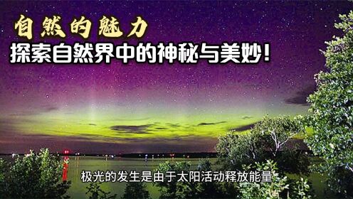 国产精品蜜臀男人的天堂，探索极致魅力，享受专属快乐，发现你的理想选择