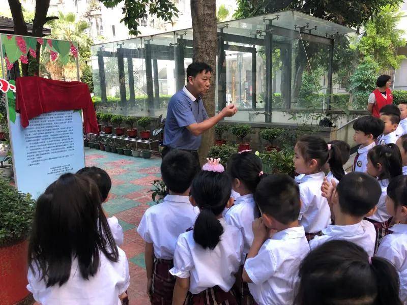 中国一级老年人毛片关注健康生活，倡导积极养老，传递正能量