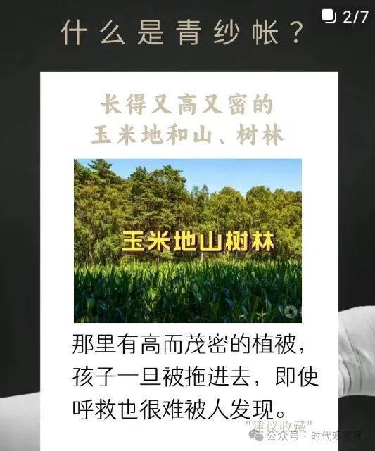 初中生视频浜案件震惊社会，警方全力追查，呼吁加强未成年人保护