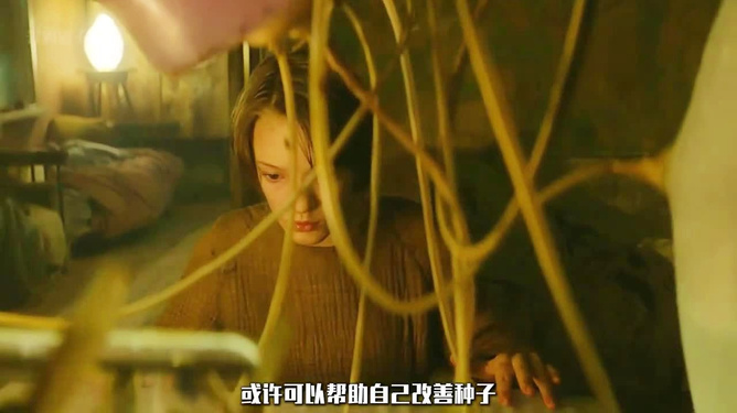国产精品自产拍高潮在线观看震撼呈现，精彩瞬间不容错过，高清画质流畅体验