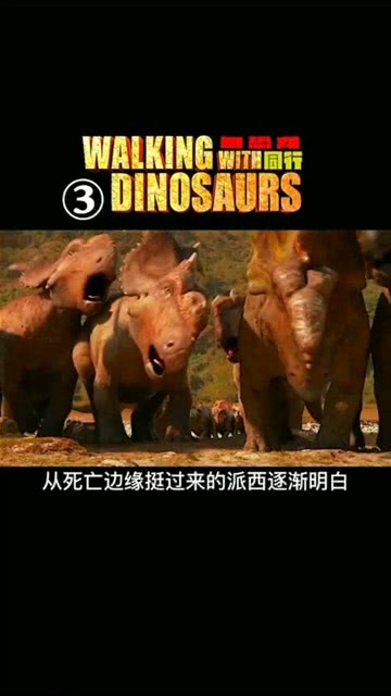 1.动物与人的黄色大片震撼视觉盛宴
