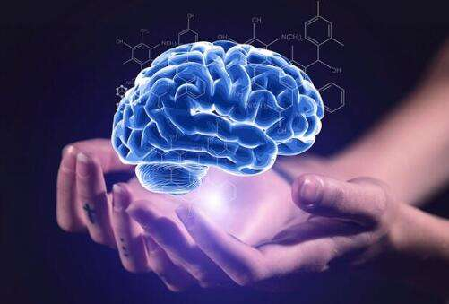 挠痒痒测试实验揭秘，科学解析触觉反应，探索身体敏感区域奥秘