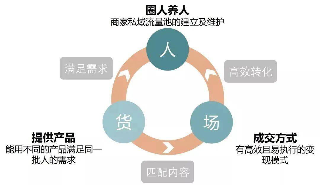 色情宝贝浜引发热议，探索其背后文化现象，揭秘网络流行趋势