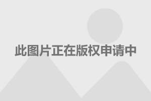 局长边摸边吃奶边做爱浜引发热议，涉事官员被调查，事件细节曝光