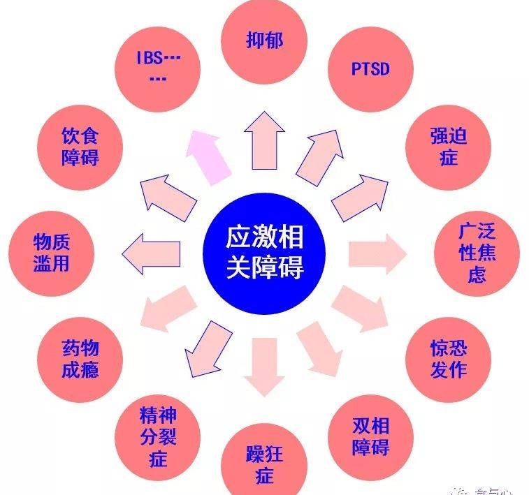 3.舒淇毛片事件回顾，舆论发酵，各方反应激烈