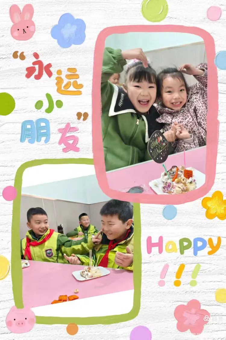 日日相伴99天里的温暖与成长