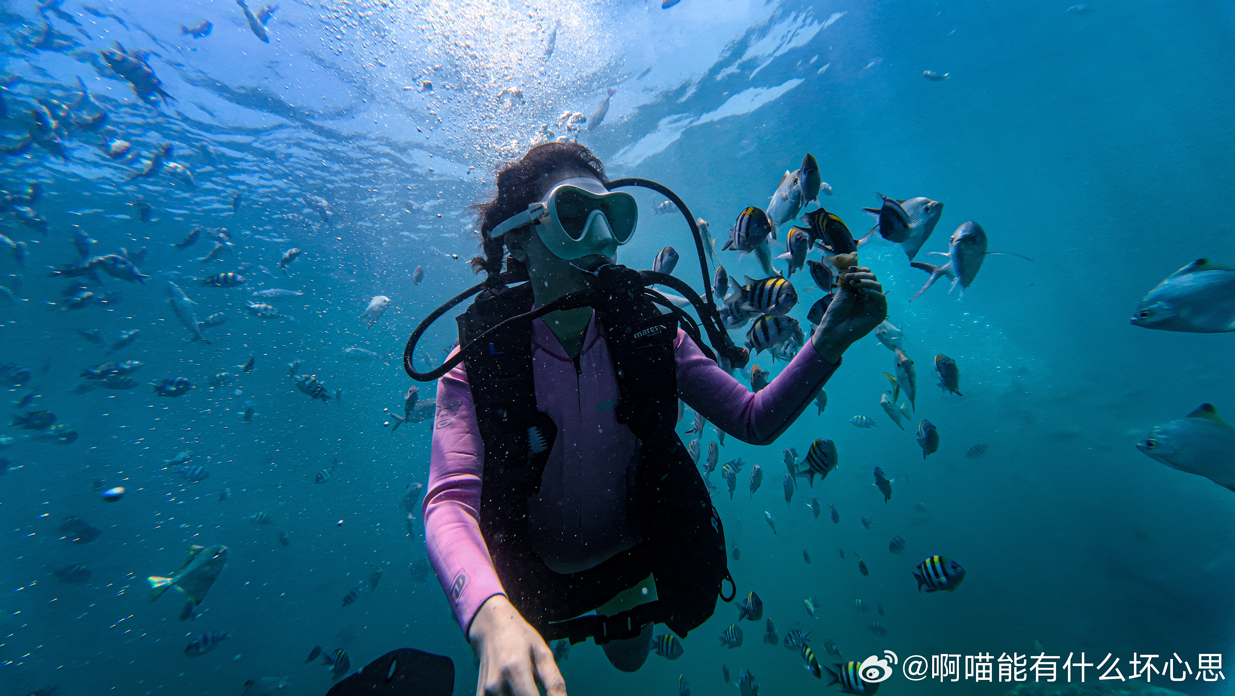 2.色欲欲www成人网站，解锁成人内容，满足隐秘幻想，畅游欲望海洋
