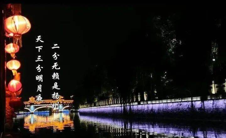 秋霞黄色在线璀璨绽放，金秋诗意流淌，温暖光影抚慰心灵