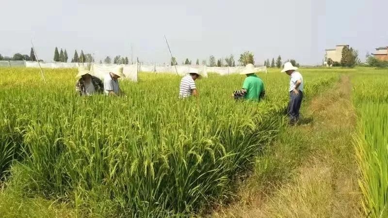 草草成人A片一区二区三区最新资源，高清无码在线观看，精彩剧情一网打尽