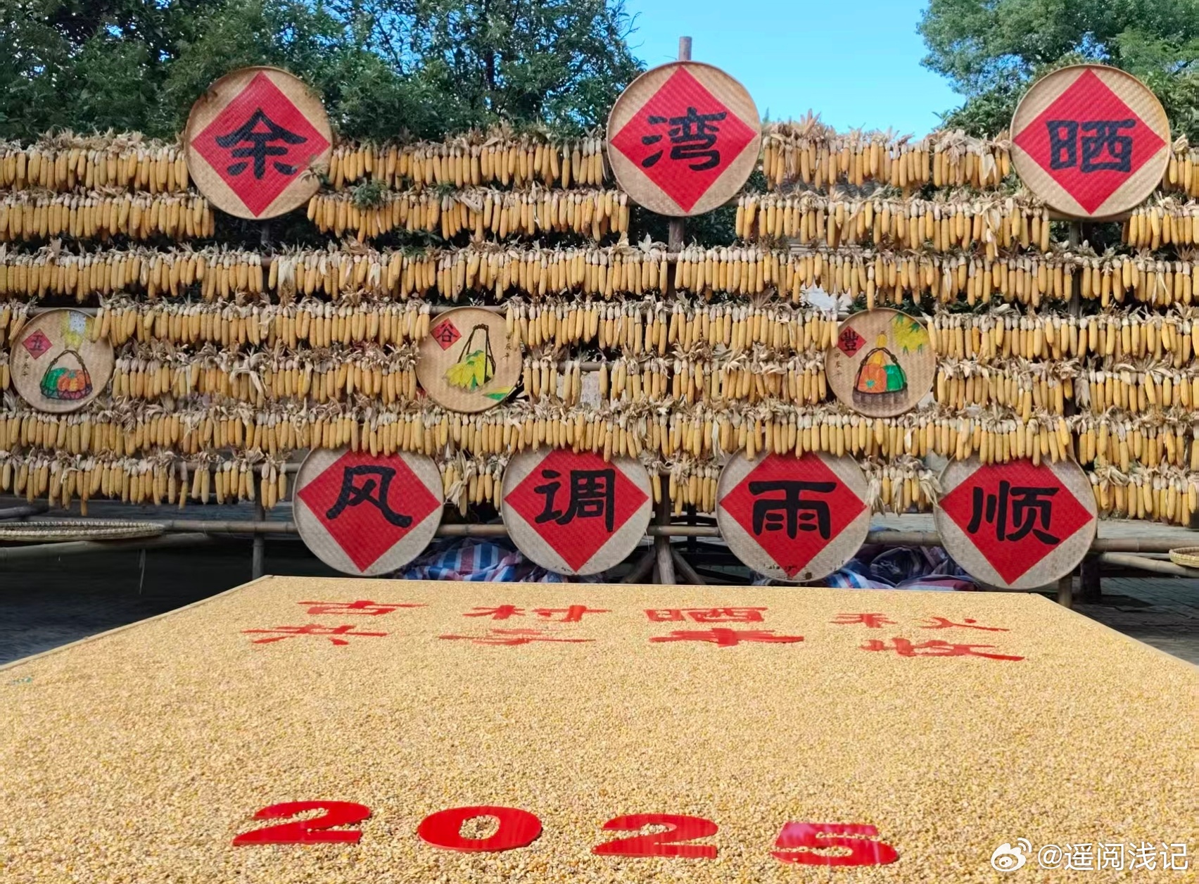 秋霞二区秋色如画金风送爽丰收季节喜悦满溢