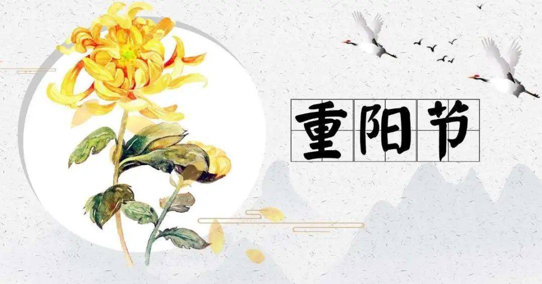 综合久久九九打造长久幸福生活，分享快乐秘诀，传递温暖情感
