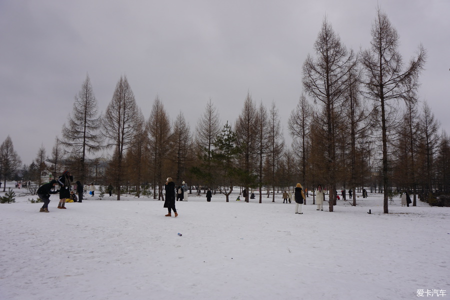 东北毛片里的冬日风情，雪地激情故事，揭秘东北独特文化