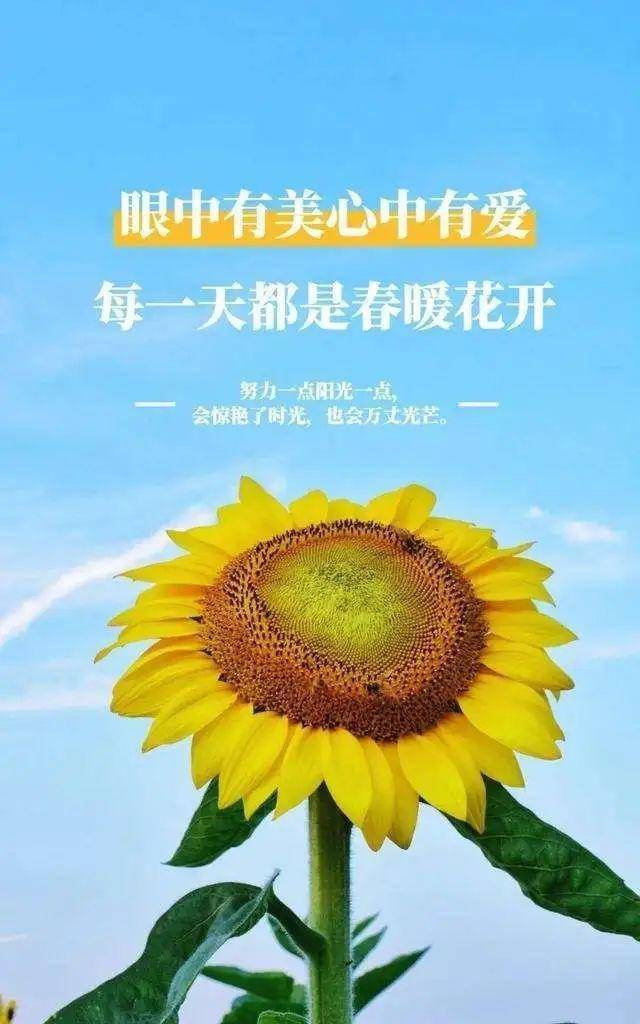激情yV点燃生活火花，追逐梦想脚步，让每一天都充满活力与期待