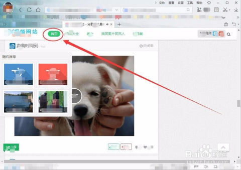 免费观看私密视频91精彩内容，高清画质，独家资源，畅享无限制体验