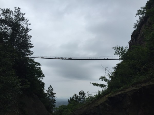 2.男人的青青草av，热血奋斗，无悔青春，追逐自由与激情