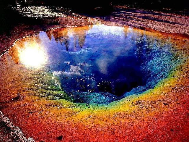 探索网站动物一级片的精彩世界，发现稀有物种，揭秘自然奇观，尽在指尖