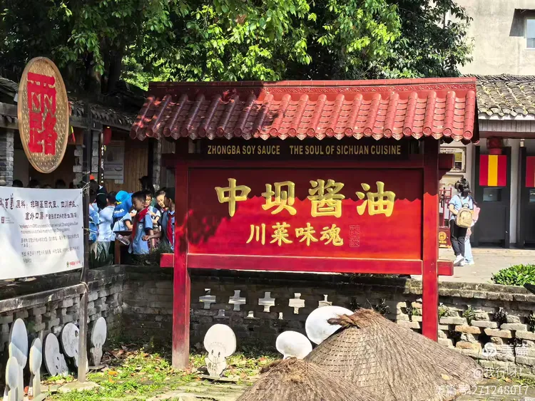 少女四川美食之旅，探寻地道小吃，感受川味魅力与独特文化