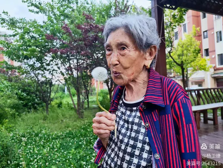 85岁以上老太婆解手视频曝光，真实记录高龄老人生活日常，引发社会关注