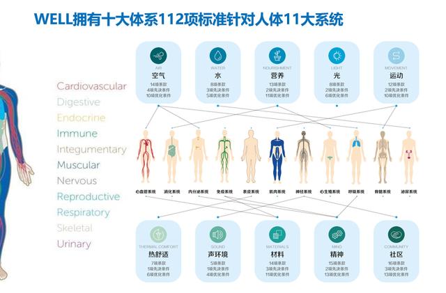 旺盛人体Pic展现活力之美，探索健康奥秘，感受生命力量